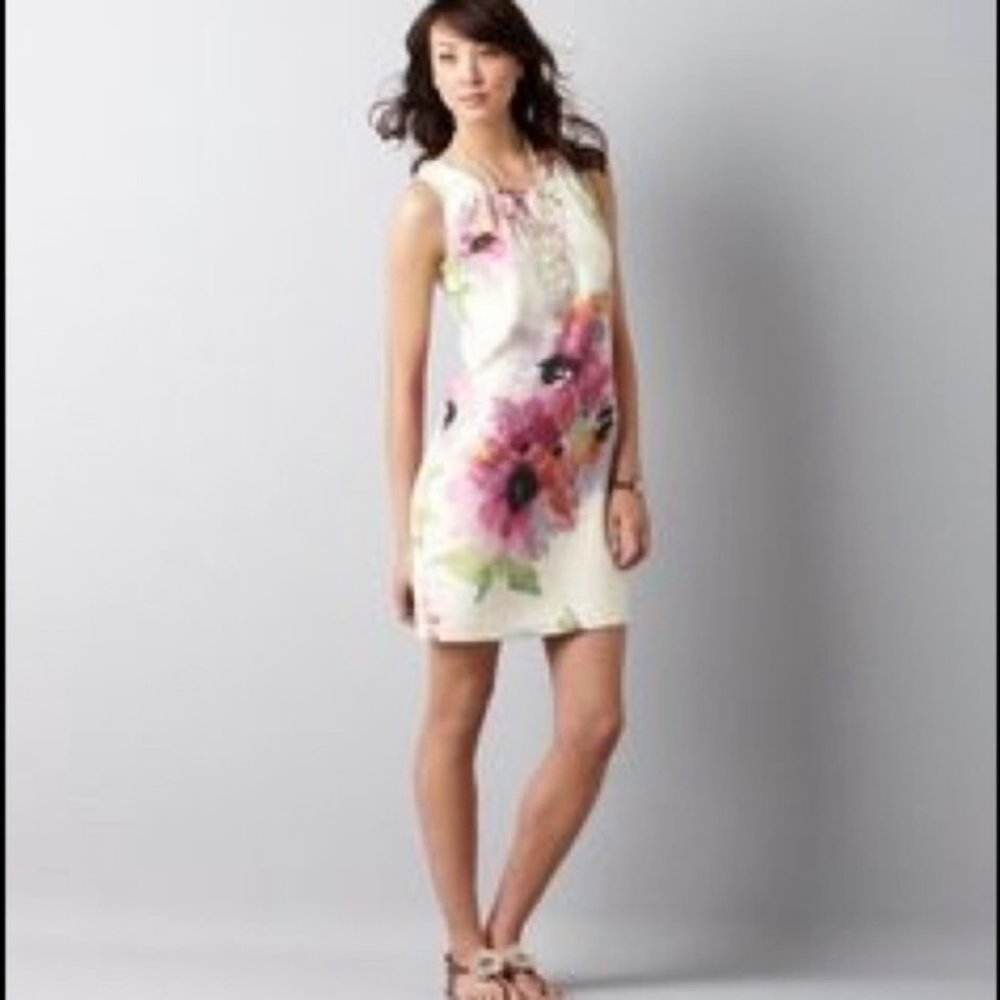 Ann Taylor LOFT Watercolor Floral Shift Dress